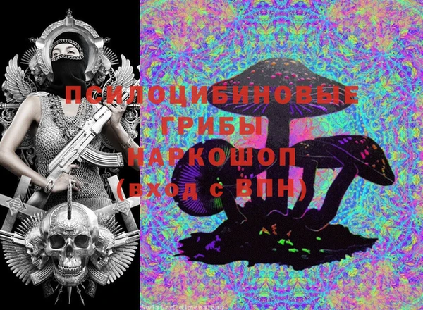 дживик Аркадак