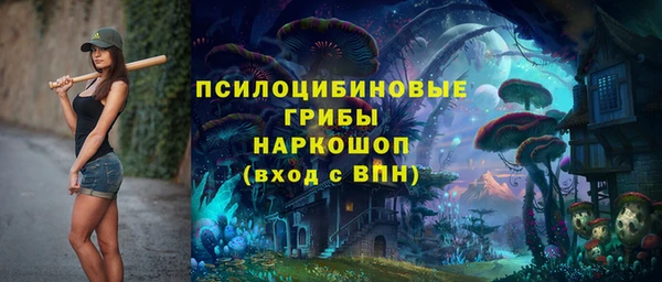 дживик Аркадак