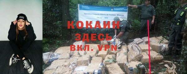 дживик Аркадак
