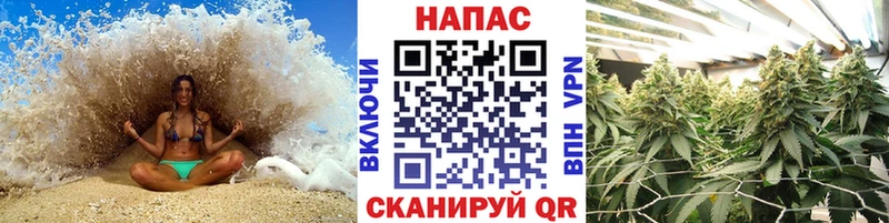 Каннабис план Покачи